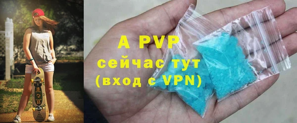 стафф Касимов