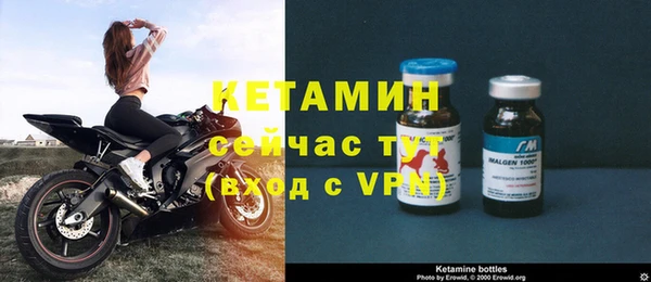 прущие грибы Каменск-Шахтинский