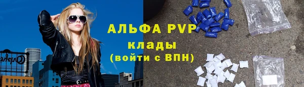стафф Каменногорск