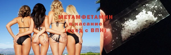 прущие грибы Каменск-Шахтинский