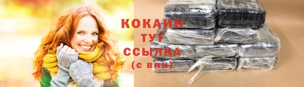 прущие грибы Каменск-Шахтинский