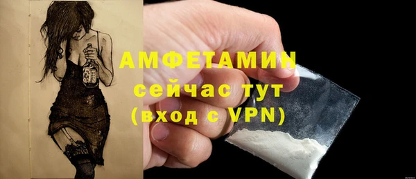 прущие грибы Каменск-Шахтинский