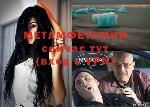 прущие грибы Каменск-Шахтинский