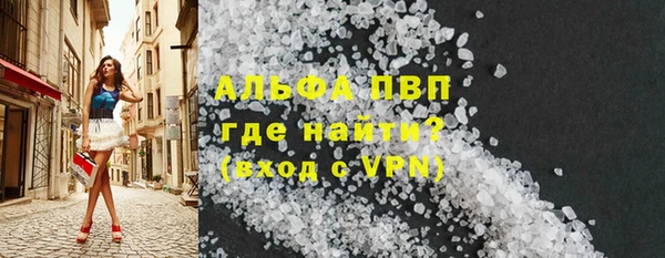 прущие грибы Каменск-Шахтинский