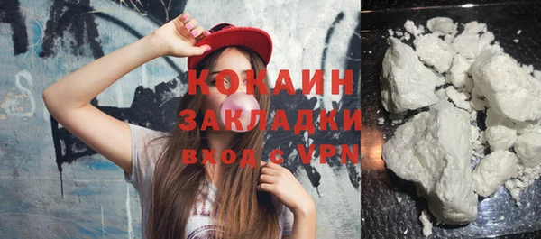прущие грибы Каменск-Шахтинский