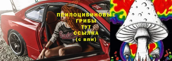 стафф Каменногорск