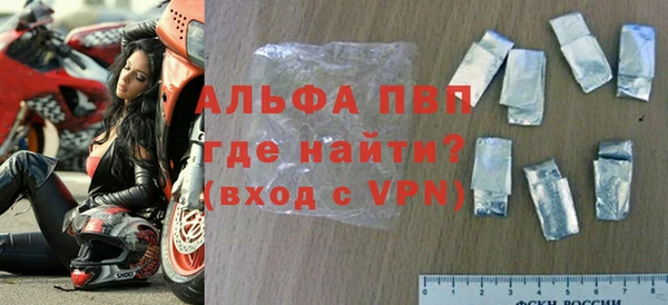 стафф Каменногорск