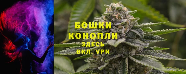прущие грибы Каменск-Шахтинский