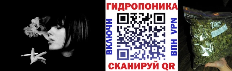 Купить где  Ершов  Бошки Шишки Amnesia 